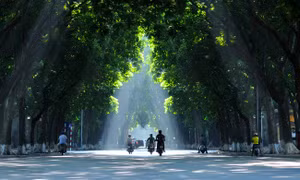 Thời tiết 6/3: Hà Nội và nhiều tỉnh phía Bắc có mưa nhỏ và sương mù
