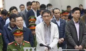 Xét xử Trịnh Xuân Thanh và đồng phạm: Hậu quả vụ án được đánh giá toàn diện, khách quan 