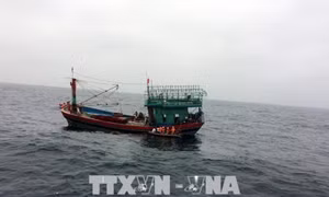 Ứng cứu kịp thời một thuyền viên bị tời quấn mất bàn tay 