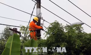 Gấp rút khắc phục sự cố lưới điện do mưa kèm lốc xoáy tại Hà Giang, Lai Châu