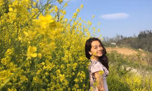 Mê đắm sắc vàng lung linh hoa cải Fansipan