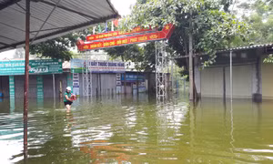 1.200 hộ dân xã Nam Phương Tiến đang sống trong cảnh ngập lụt nặng