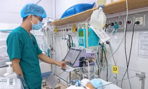 TP Hồ Chí Minh