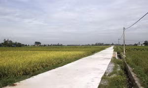 Hải Phòng chấn chỉnh việc 'Không cấp giấy khai sinh vì chưa đóng tiền làm đường'