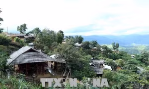 Từng bước đẩy lùi 'cái chết trắng' ở vùng cao 