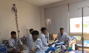 Bệnh di truyền tan máu bẩm sinh nhưng nhiều người vẫn chưa hay biết