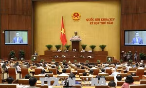 Phiên thảo luận về cổ phần hóa doanh nghiệp Nhà nước diễn ra dân chủ, thẳng thắn, sôi nổi 