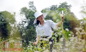 TP Hồ Chí Minh