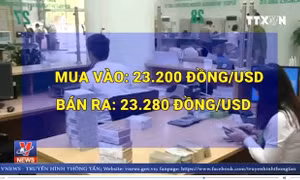Giá mua 1 Đô la Mỹ vượt ngưỡng 23.300 đồng