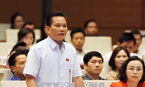 Nhiều đại biểu Quốc hội quan tâm vụ xét xử bác sĩ Hoàng Công Lương