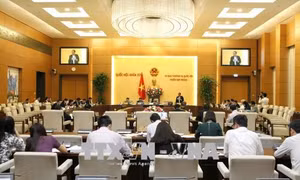 Cần thiết ban hành Luật trồng trọt