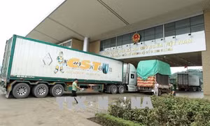 Không lệ thuộc một thị trường để tránh tác động từ căng thẳng Mỹ - Trung