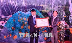 Điện Biên công bố di sản văn hóa phi vật thể quốc gia với nghệ thuật của người Mông hoa