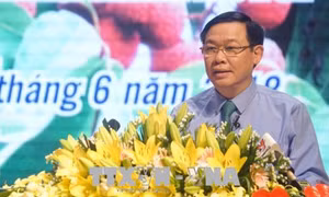 Cần cải thiện khâu bảo quản sau thu hoạch, chế biến và tiêu thụ vải thiều 