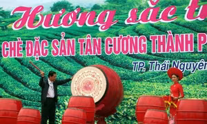 Lễ hội 'Hương sắc Trà xuân - vùng chè đặc sản Tân Cương'