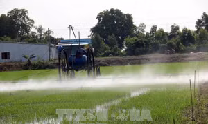 Bộ trưởng Nguyễn Xuân Cường: Phải giảm nhanh lượng thuốc bảo vệ thực vật độc hại