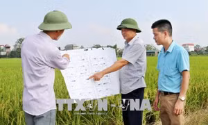  Người đồng hành cùng Lương Lỗ trong dồn đổi ruộng đất hiệu quả