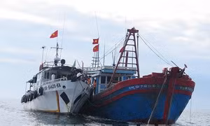 Tăng cường quản lý, kiểm tra an toàn cho tàu cá
