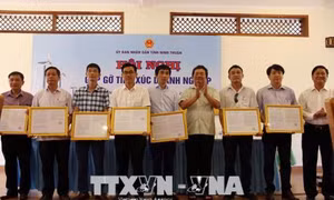 Ninh Thuận trao chứng nhận đầu tư cho 9 dự án điện mặt trời 