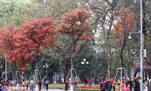 Miền Bắc đêm có mưa vài nơi, sáng có sương mù nhẹ 