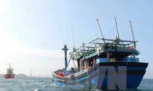EC sẽ kiểm tra ngẫu nhiên các tỉnh về thẻ vàng của ngành thủy sản 
