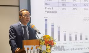 Tìm giải pháp nâng cao hiệu quả dịch vụ logistics 