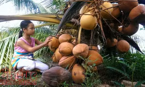 An Giang