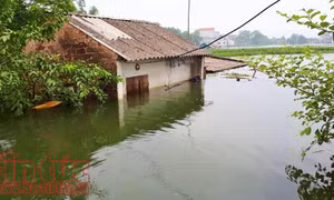 Người dân Chương Mỹ (Hà Nội) phập phồng lo nước sạch, vệ sinh môi trường