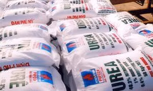 Vi phạm hành chính trong lĩnh vực phân bón sẽ bị phạt đến 200 triệu đồng 