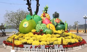 Thừa Thiên-Huế rực rỡ sắc xuân