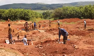 Người dân Zimbabwe đổ về nông trang của cựu đệ nhất phu nhân để đào vàng