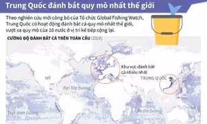 Trung Quốc đánh bắt cá quy mô nhất thế giới