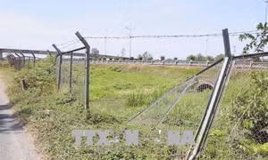 Hàng trăm điểm rào hành lang an toàn cao tốc TP Hồ Chí Minh – Trung Lương bị phá hỏng