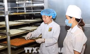 Nữ giám đốc hợp tác xã năng động