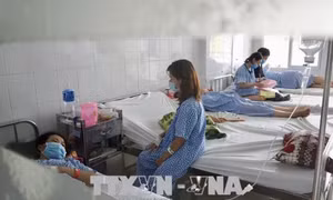 Cúm A/H1N1 tại TP Hồ Chí Minh chưa ghi nhận có sự đột biến vi rút 