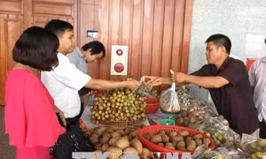Hưng Yên kết nối cung cầu, xúc tiến tiêu thụ sản phẩm vùng nông thôn 