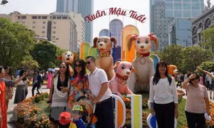 Thời tiết xuân Mậu Tuất: Sáng sớm có mưa nhỏ, trưa chiều hửng nắng