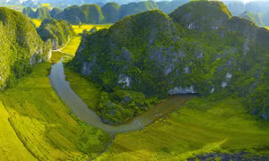 Chiêm ngưỡng bức tranh mùa vàng đẹp nao lòng trên đỉnh Hang Múa