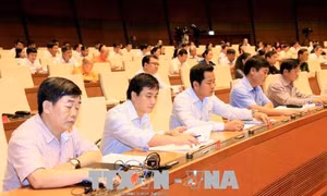 Thể hiện trách nhiệm của đại biểu Quốc hội với cử tri và nhân dân 