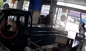 Chó ‘điều khiển’ xe đâm tan nát cửa hàng điện thoại