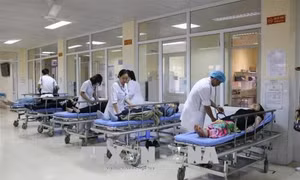 Điều trị, hỗ trợ kịp thời 12 du khách nước ngoài nghi ngộ độc thức ăn 