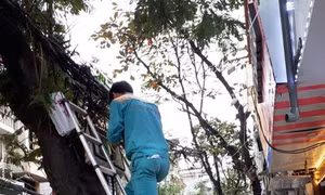 Yêu cầu các đơn vị phải thanh thải cáp viễn thông sau khi đã hạ ngầm