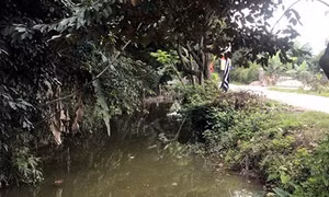 Đạp xe đi chơi, hai em nhỏ rơi xuống mương chết đuối 