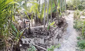 Kênh rạch trong Khu Du lịch cấp quốc gia Thới Sơn sạt lở nghiêm trọng