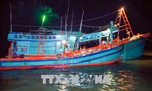 Tàu vỏ sắt không rõ quốc tịch đâm chìm 2 tàu cá Nghệ An
