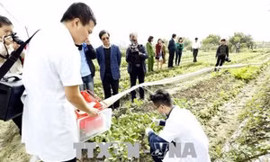 Tăng cường kiểm tra, công khai cơ sở vi phạm ATTP trên phương tiện truyền thông 