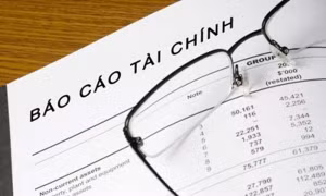 Đề xuất xử phạt doanh nghiệp nhà nước không công bố thông tin 