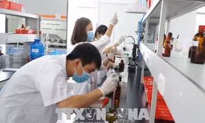 Quy định chính sách thu hút, trọng dụng người có tài năng làm việc trong cơ quan nhà nước