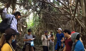 Không gian văn hóa Sa Huỳnh - Di sản chồng lên di sản?