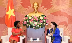 Ưu tiên giải ngân chương trình, dự án có nguồn vốn vay ưu đãi nước ngoài